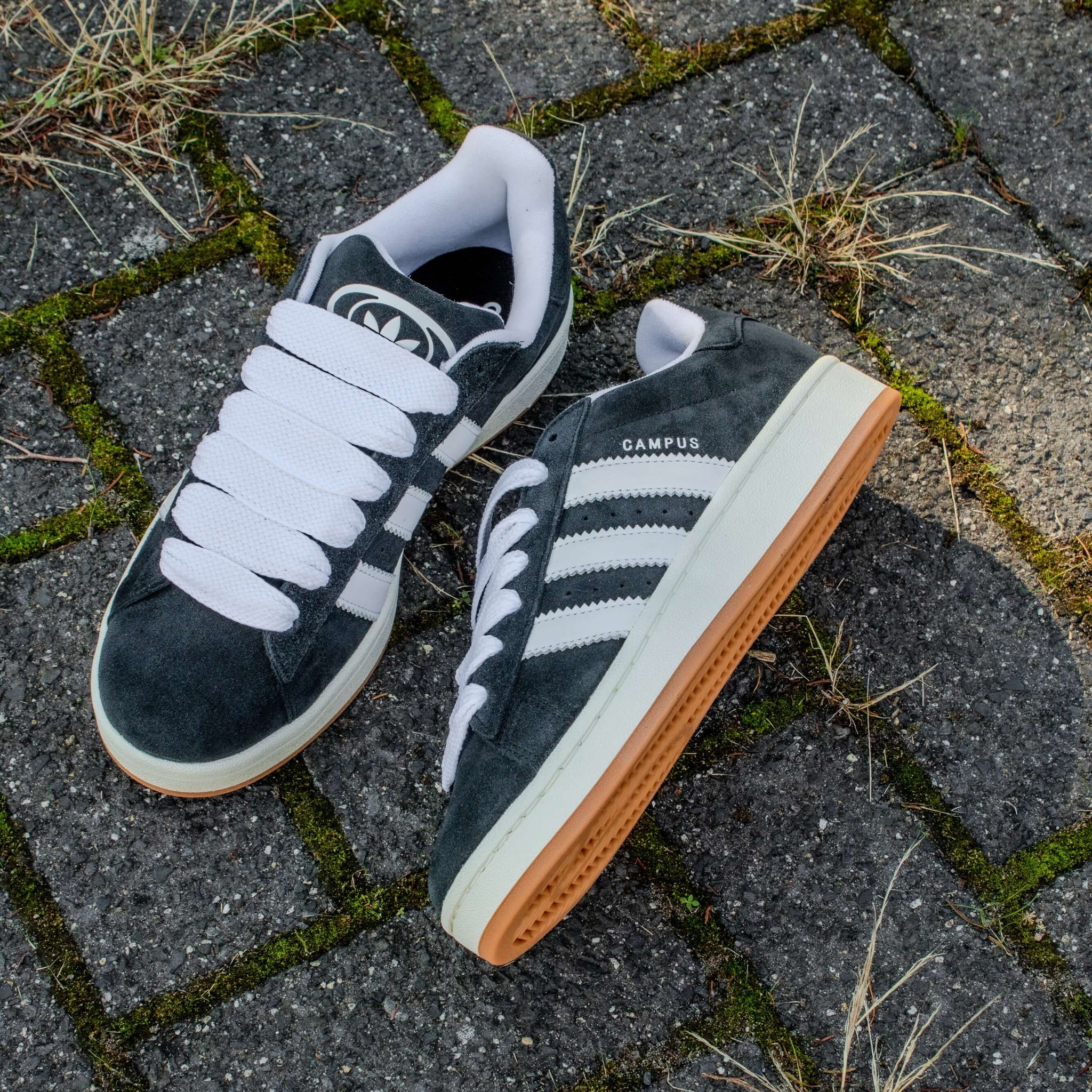 Fatties Schoenveters - Wit