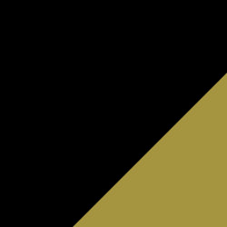 Schwarz mit Goldspitze Schwarz mit Goldspitze