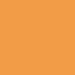 Bright Orange Bright Orange