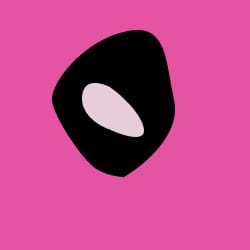 Hot Pink / Zwart Zebra Hot Pink / Zwart Zebra