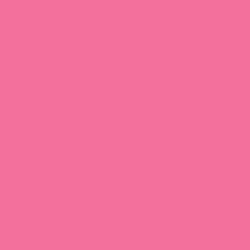 Neon Pink Neon Pink